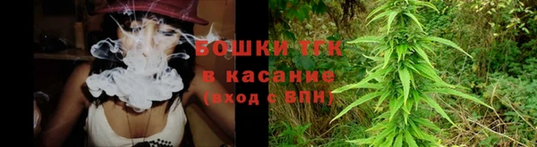 индика Кодинск