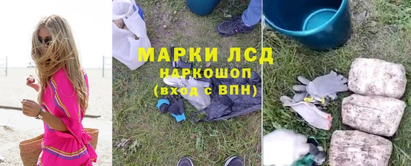 индика Кодинск