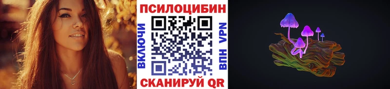 Купить где  Приморск  Галлюциногенные грибы Cubensis 