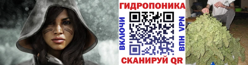 Купить закладки  Приморск  Каннабис марихуана 